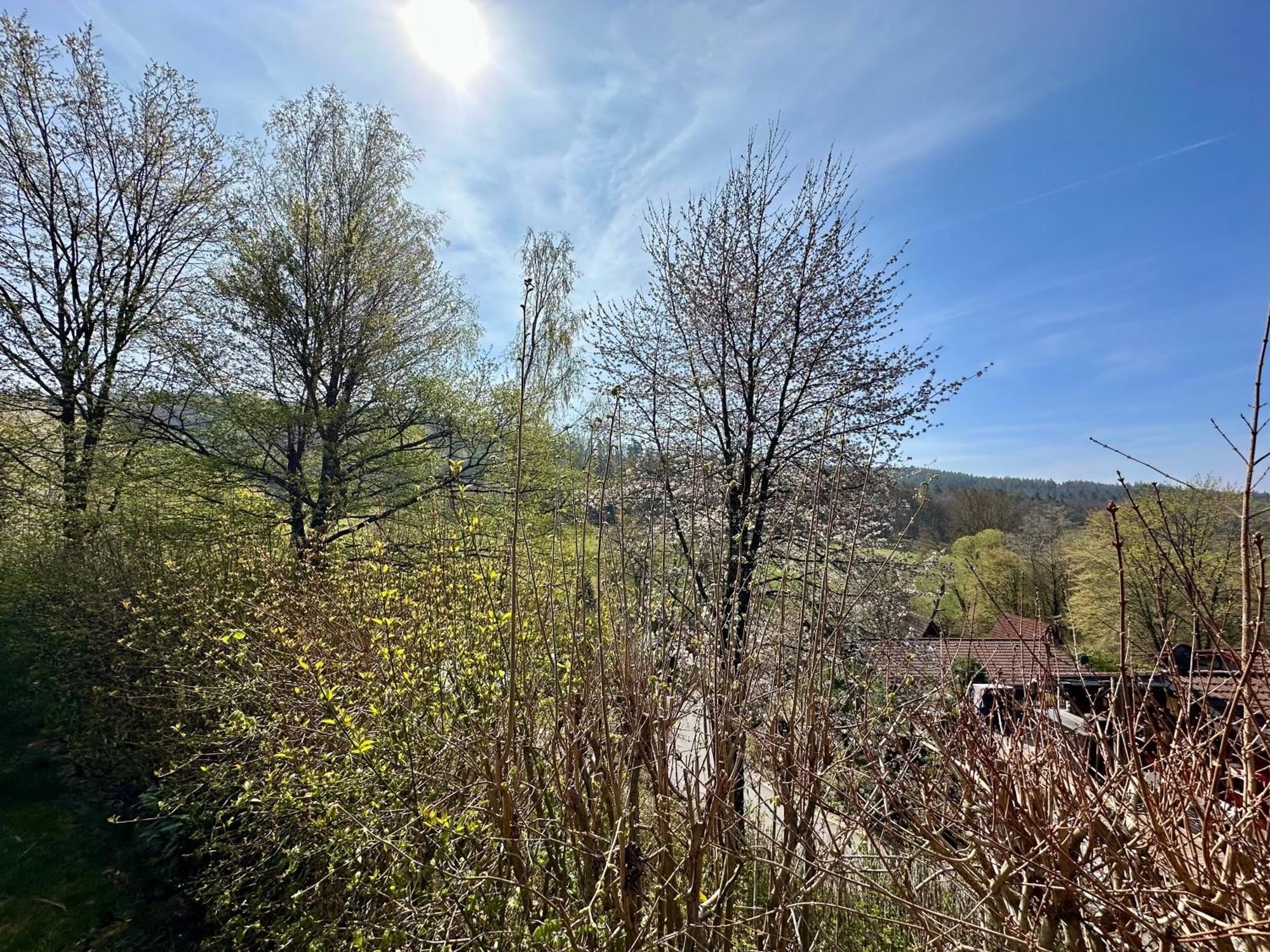 Gemütliches Ferienhaus in ruhiger Lage Ronshausen Hessen Exterior foto